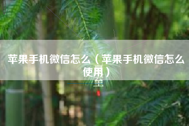 苹果手机微信怎么(苹果手机微信怎么使用)